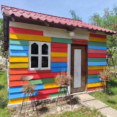 The Bear Bungalow Kampot Exterior photo